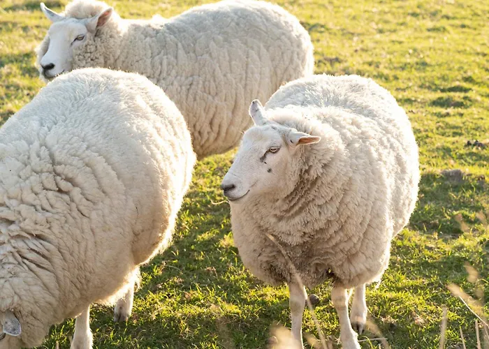 Alte Schule Poppenbuell Appartement Westerhever