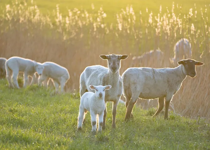 Appartement Alte Schule Poppenbuell